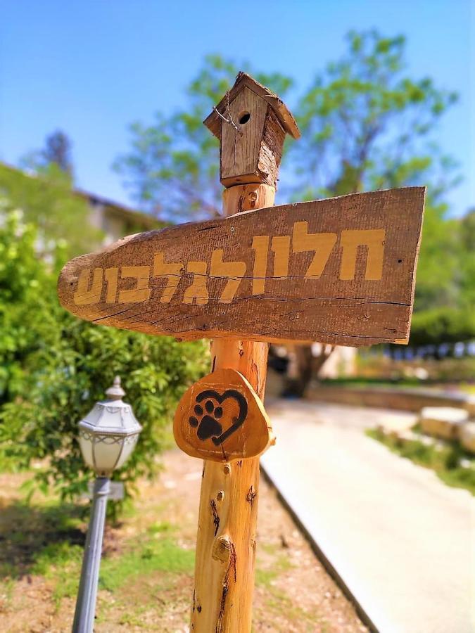 חלון לגלבוע צימר בוטיק בעמק המעיינות Bet Alfa Exteriör bild