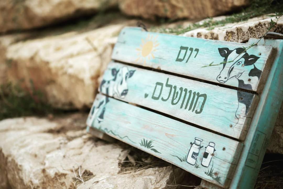 חלון לגלבוע צימר בוטיק בעמק המעיינות Bet Alfa Exteriör bild